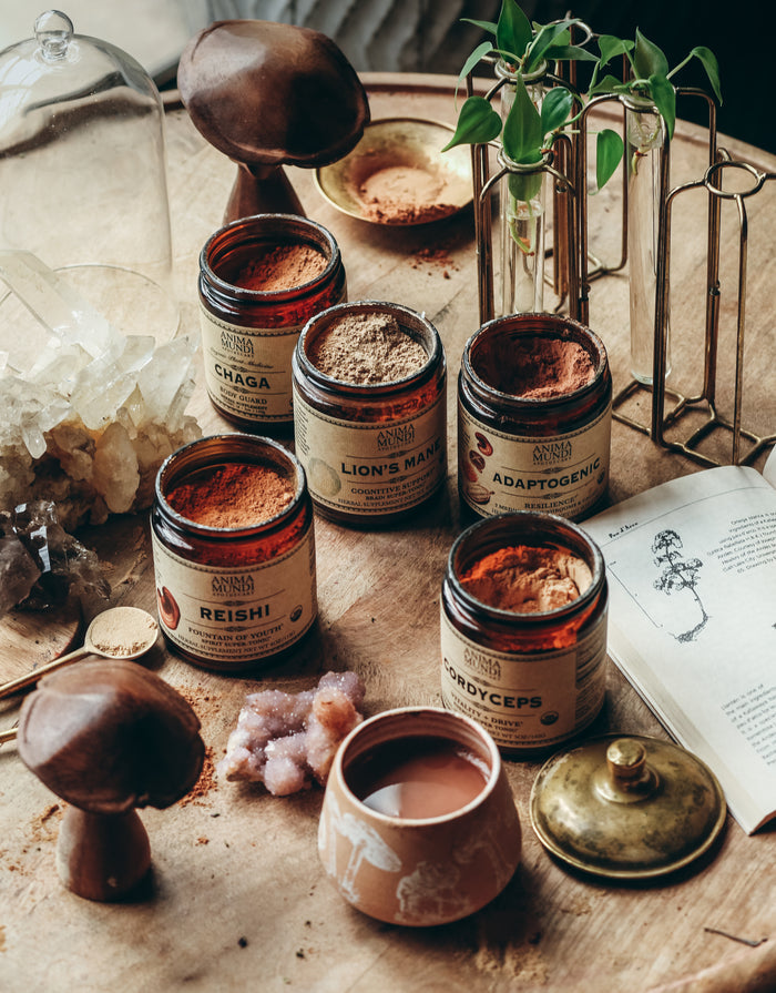LION'S MANE | Organic Mushroom Powder, Focus Tonic*