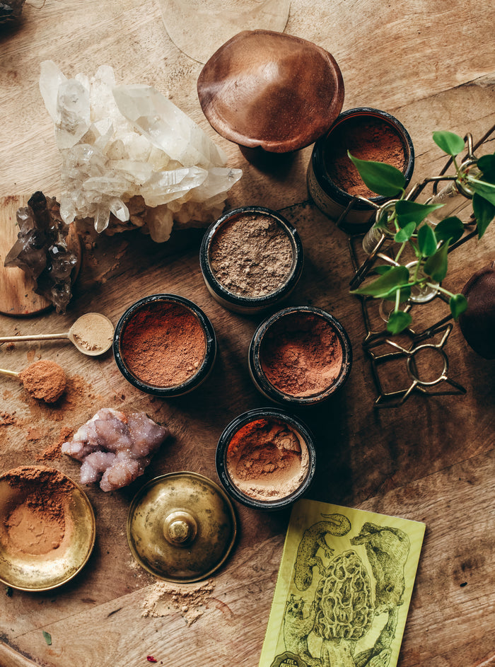 LION'S MANE | Organic Mushroom Powder, Focus Tonic*