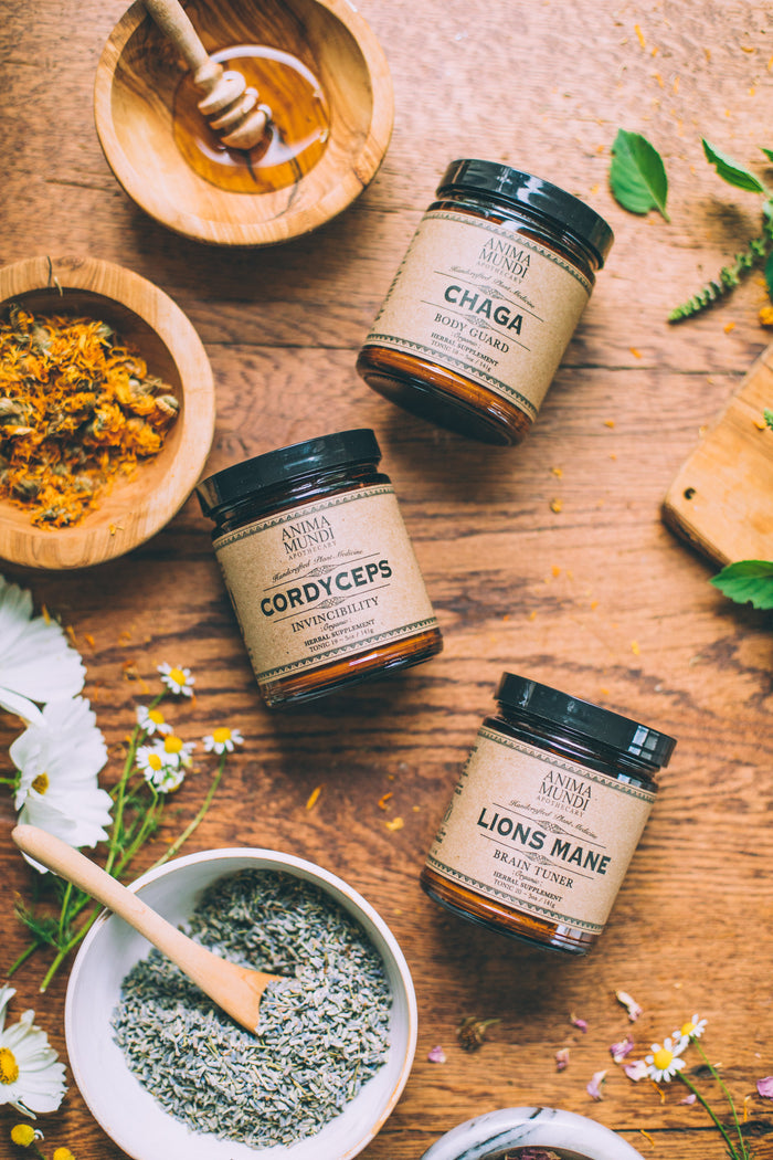 LION'S MANE | Organic Mushroom Powder, Focus Tonic*
