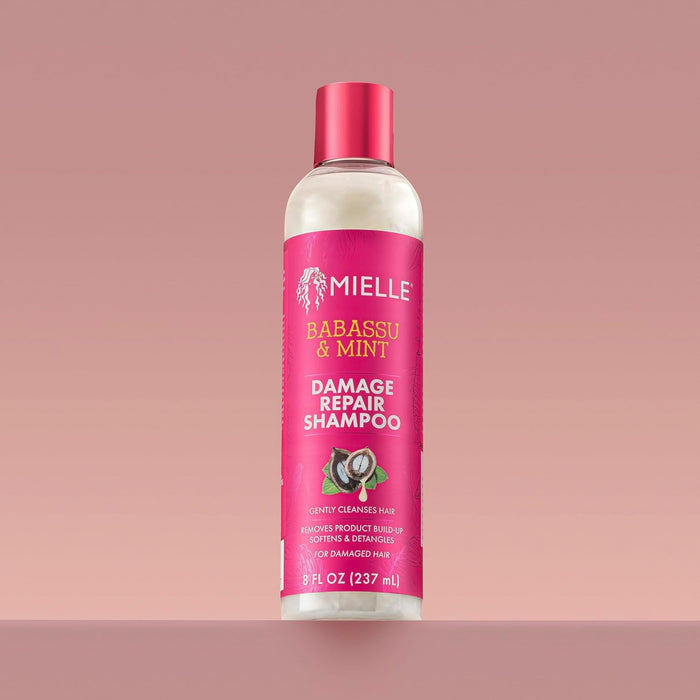 Mielle Babassu & Mint Damage Repair Shampoo 8oz/ 237ml