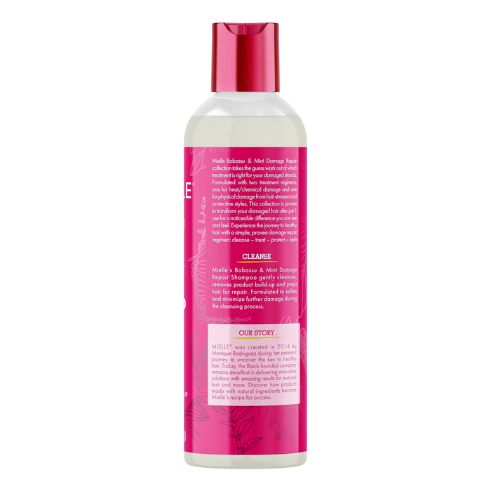 Mielle Babassu & Mint Damage Repair Shampoo 8oz/ 237ml