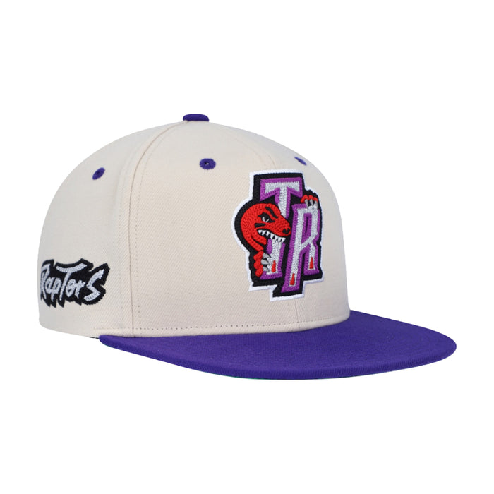 Mitchell & Ness Toronto Raptors Hardwood Classics 2-Tone Chain-Stitch Snapback Hat Cream/Purple