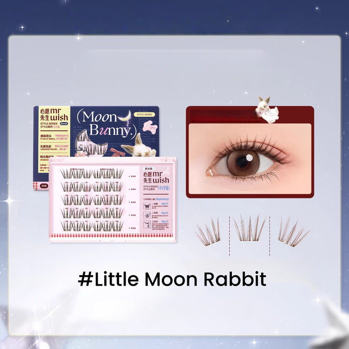 #Little Moon Rabbit