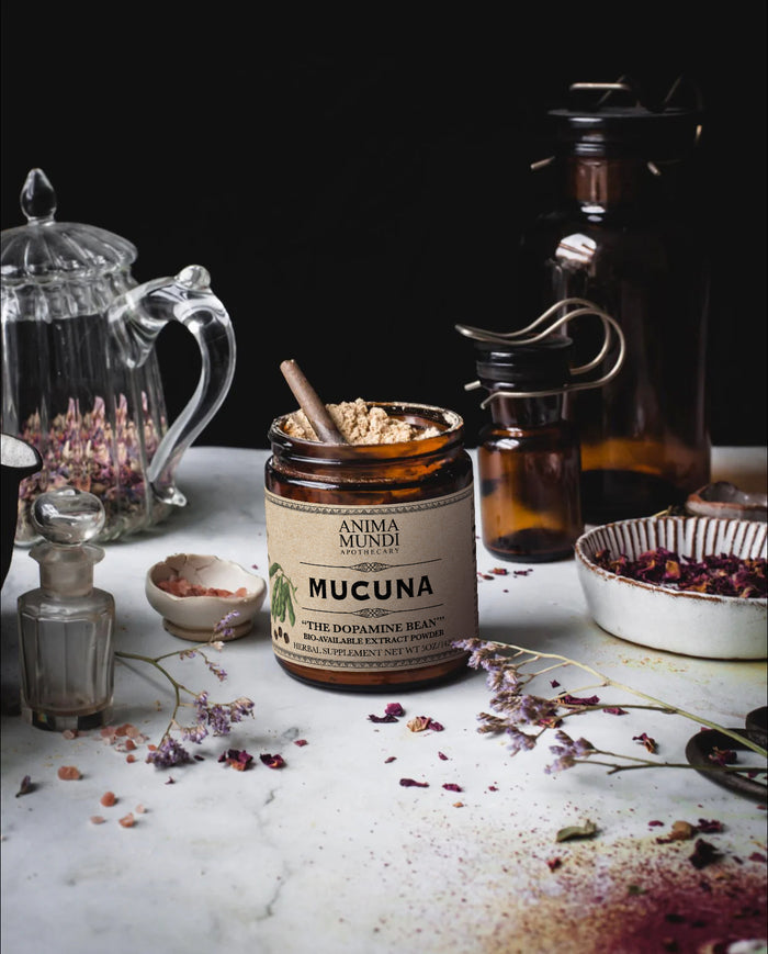 MUCUNA | "The Dopa Bean" Mood Powder