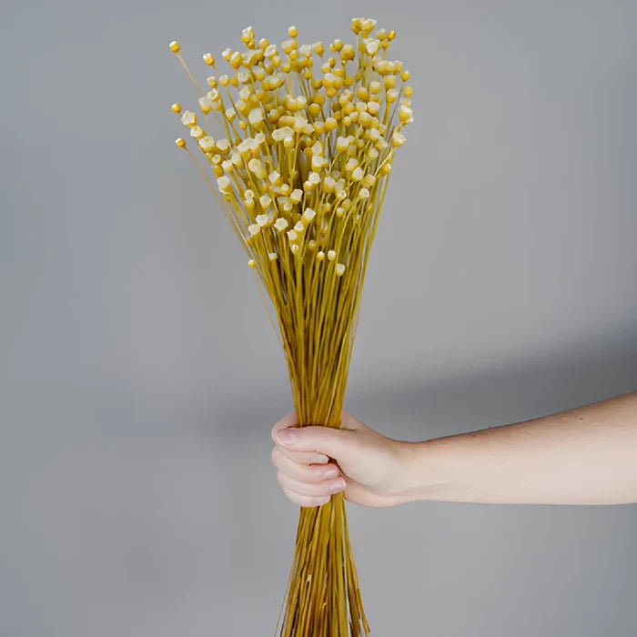Natural Dried Happy Flowers