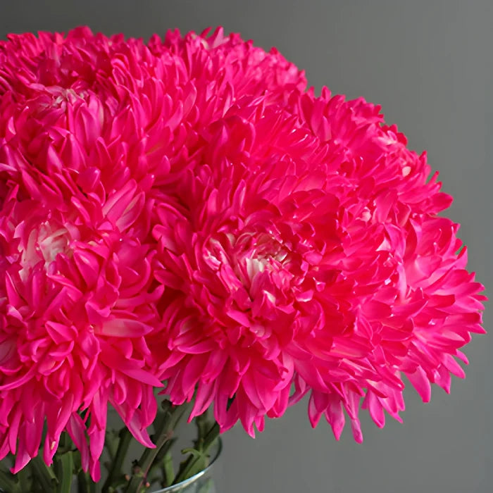 Neon Pink Tinted Football Mum Flowers