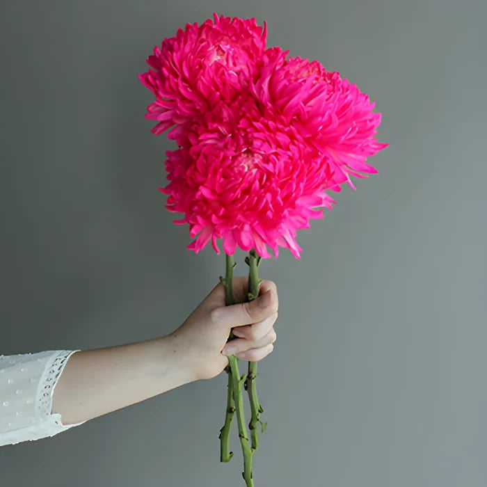 Neon Pink Tinted Football Mum Flowers