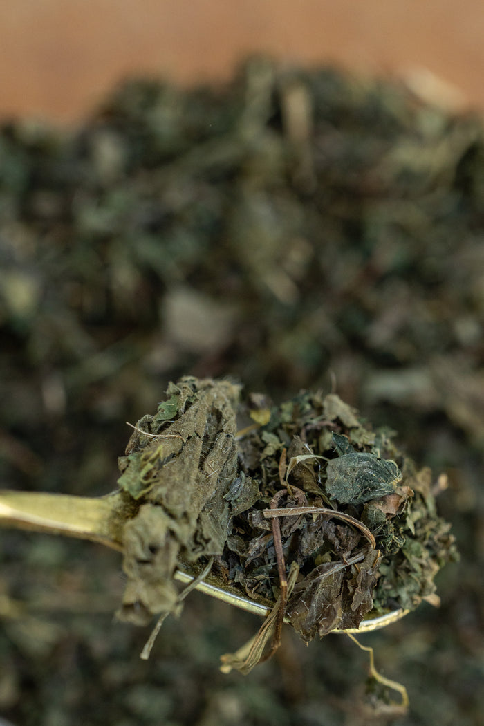 Close-up of dried cannabis buds on a wooden surface