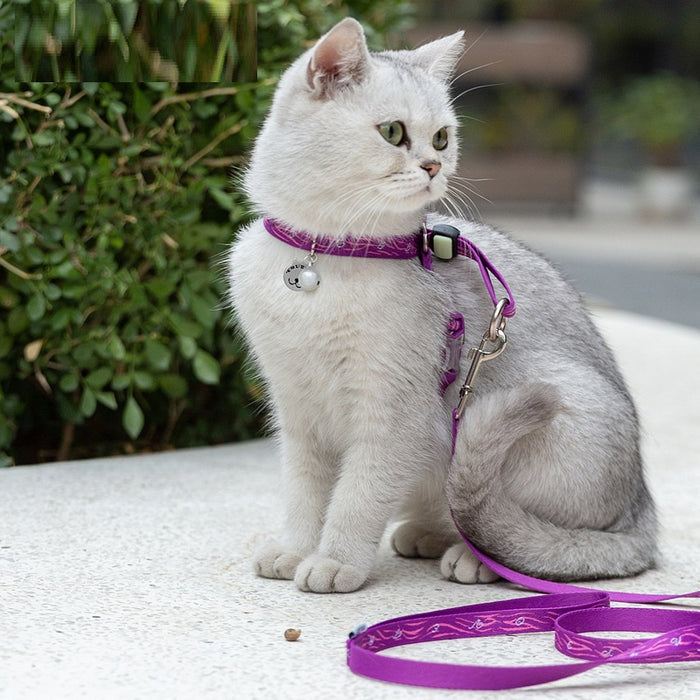 Pet Cat Bell Chest Strap Teddy Leash