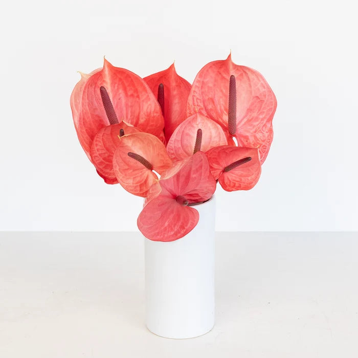 Pink Candy Anthurium Flower Vase - Image