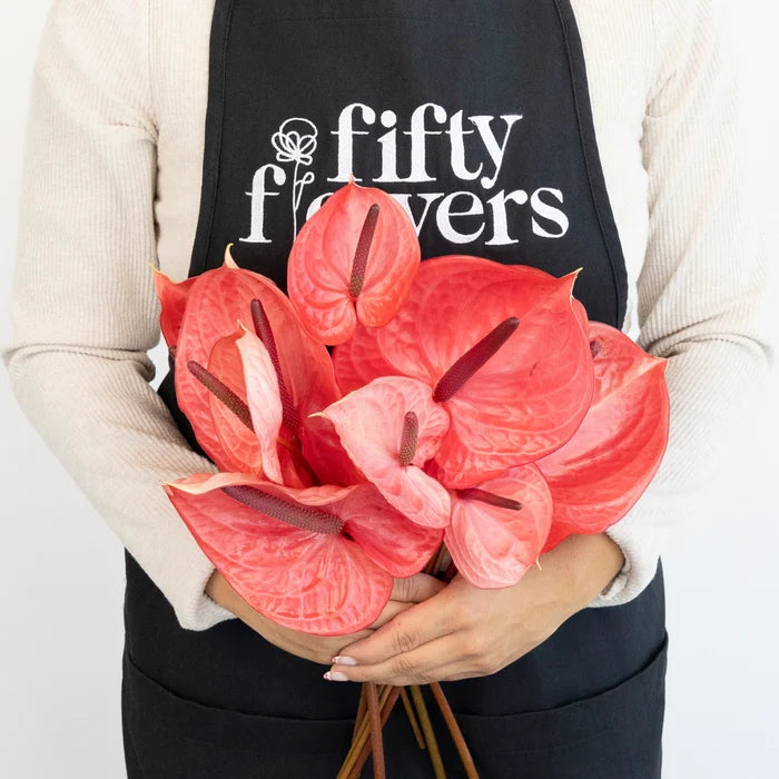 Pink Candy Anthurium Flower Apron - Image