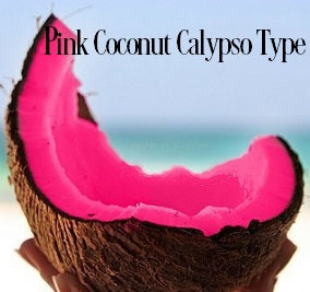 Pinkest Coconut Calypso Fragrance Oil 20218