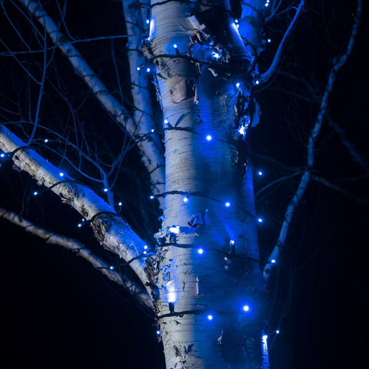 PR50BB_Blue-LED-String-Lights-Outdoor-Garden-Tree-Close_02d2ffd4-24d2-4192-87a4-334477da3839.jpg