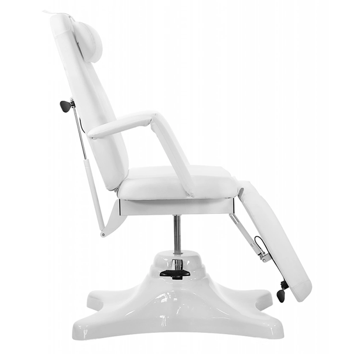 Replacement Full Set Cushion For Pro Hydraulic Facial Bed
