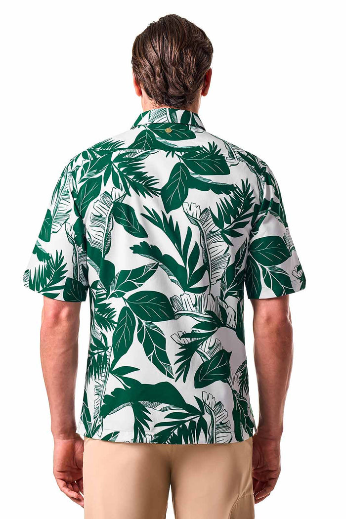 Color_Eden Palm Paradise