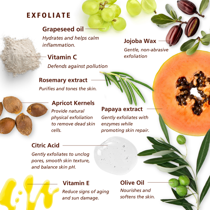 SKN005 SKNLOGIC Exfoliate Micro-Exfoliating Face Scrub | An infographic detailing the exfoliating ingredients of a skincare product, featuring a white background with illustrations and photos of ingredients including grapeseed oil, jojoba wax, vitamin C powder, rosemary extract, apricot kernels, papaya extract, citric acid, vitamin E, and olive oil.
