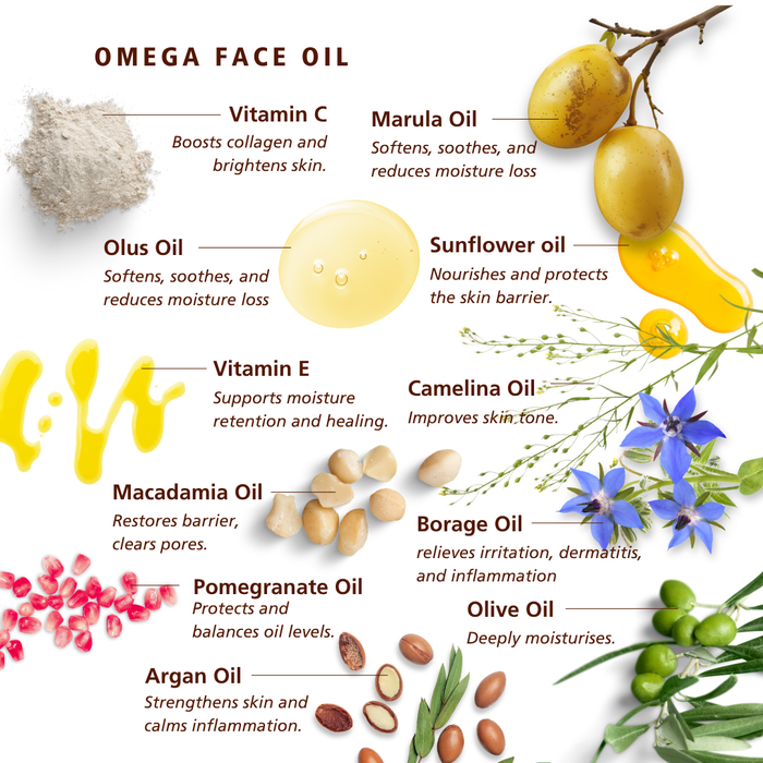 SKN100 SKNLOGIC Omega Oil for Combination and Dry Skin 30ml | An informational graphic titled 'Omega Face Oil' showing various natural oils and ingredients with text labels on a white background. The ingredients illustrated include Vitamin C powder, Marula Oil, Olus Oil, Vitamin E, Camellina Oil, Sunflower oil, Borage Oil, Olive Oil, Argan Oil, Pomegranate, and Macadamia Oil, alongside illustrations of fruits, flowers, and botanical elements.