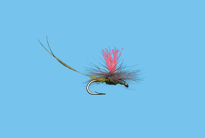 Solitude Hatch Matcher BWO (D1838ol) 6-Pack