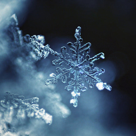 Sparkling Snowflake - EO & FO Blend 518