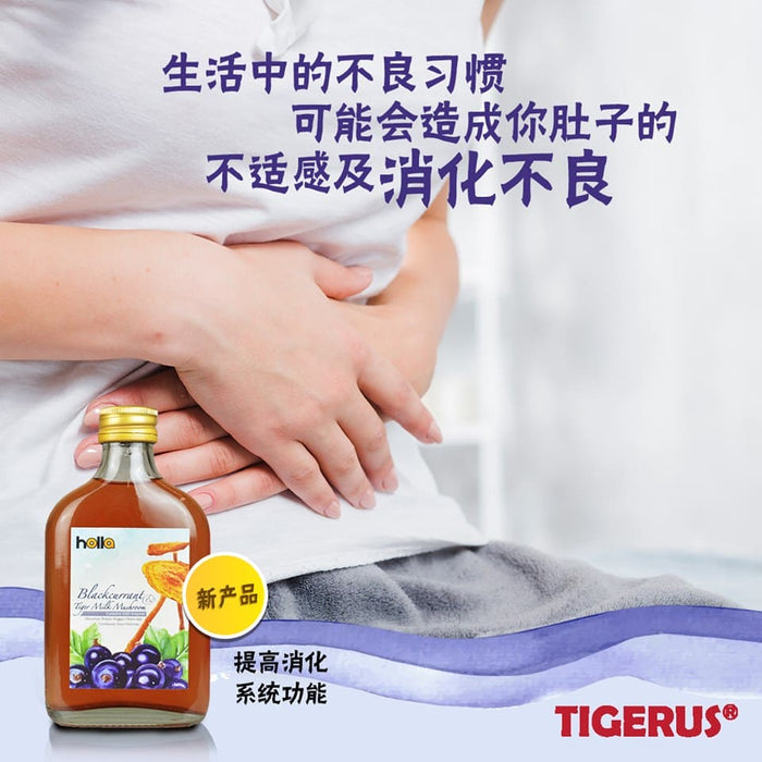 TIGERUS Holla Blackcurrant Tiger Milk Mushroom (190ml) - Asian Integrated Medical Sdn Bhd (ielder.asia)