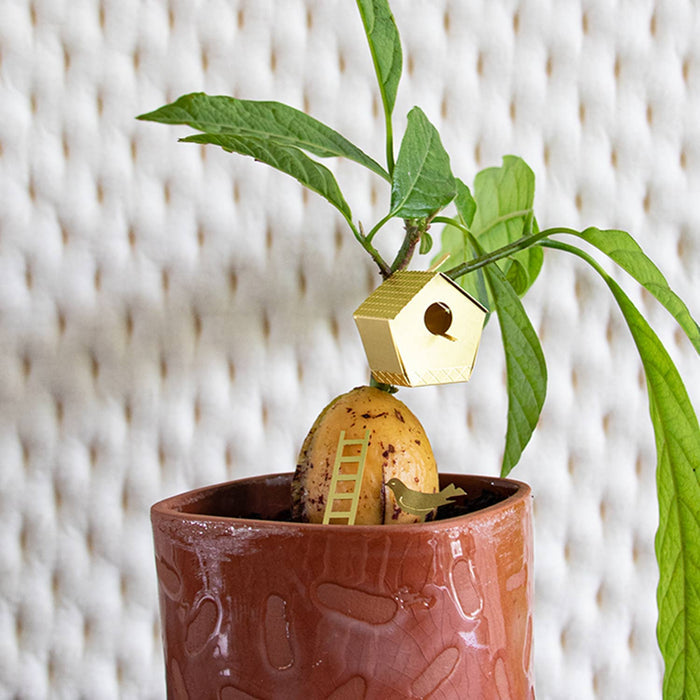 Small plant gift birdhouse from Botanopia USA, decorative tiny birdhouse ideal for plant lovers' decor and gifts.