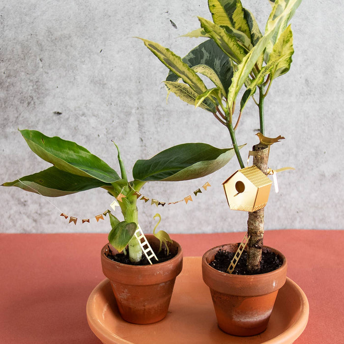 Tiny Birdhouse gift from Botanopia USA, decorative miniature birdhouse designed for plant lovers' decor and indoor gardens.