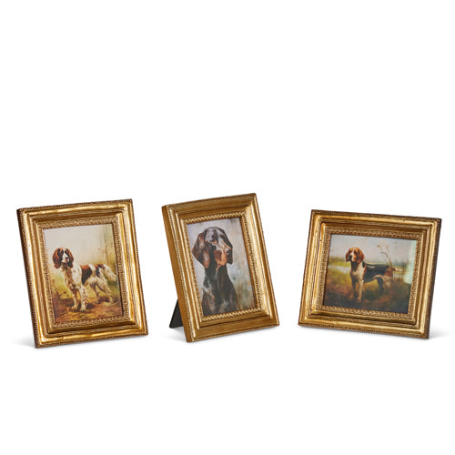 Vintage Bird Dog Framed Art (3 Styles)