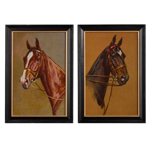 Vintage Equestrian Framed Art
