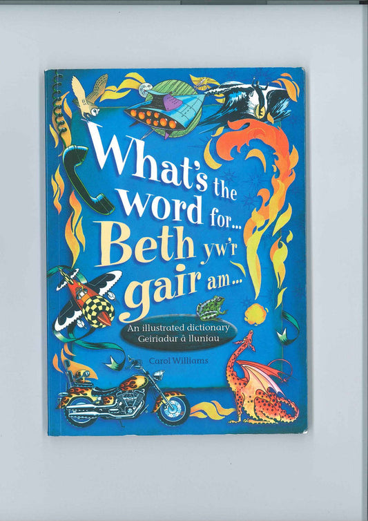 What's the word for ...