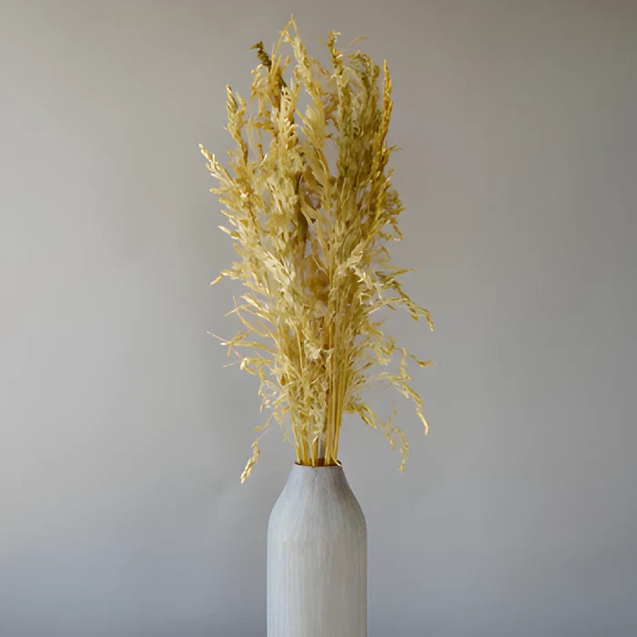 Wild Dried Oats